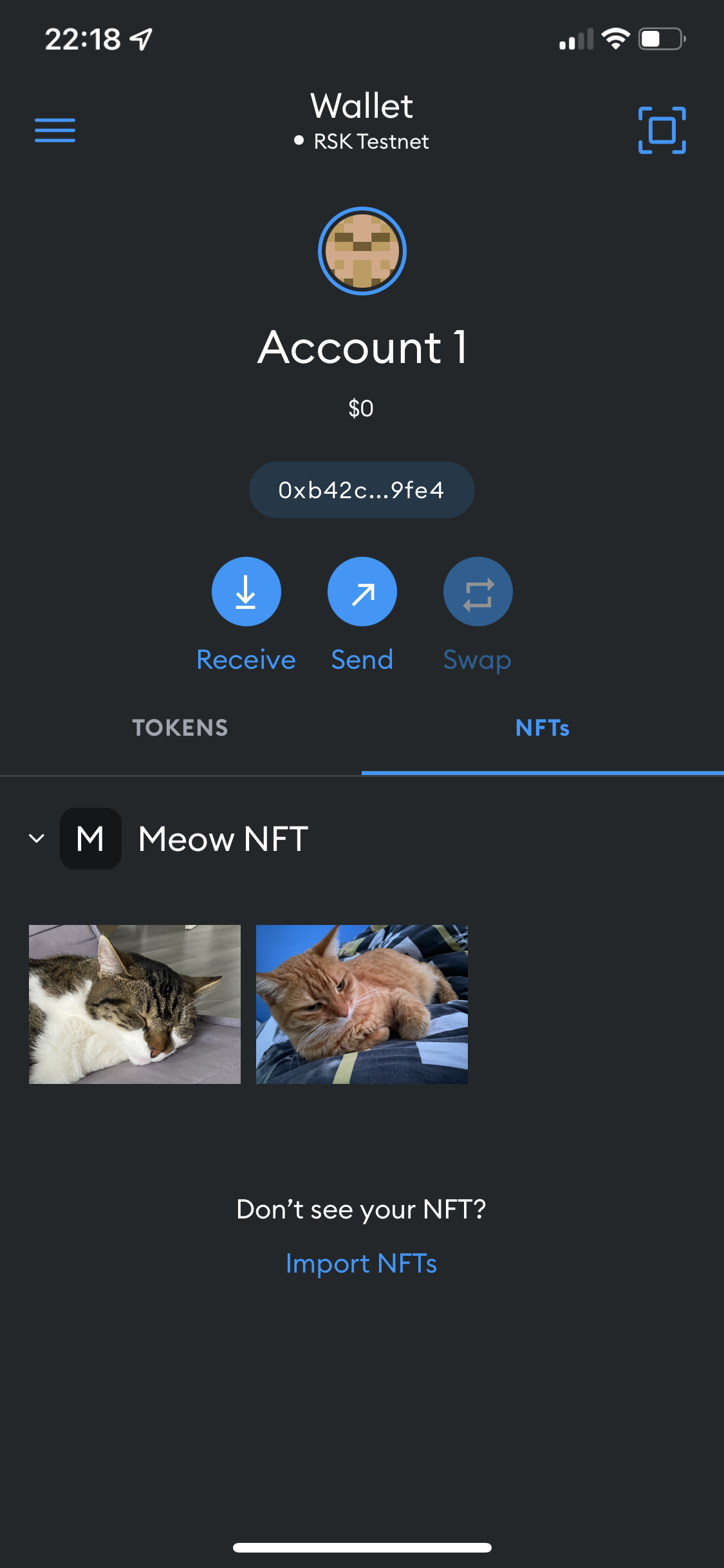MetaMask screenshot after adding NFT collection